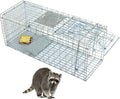32 x 12 x 12.5 Large Humane Live Animal Trap - 1-Door Solid Steel Catch &amp Release Cage for Raccoons Rabbits Stray Cats Squirrels Groundhogs Opossums Armadillos