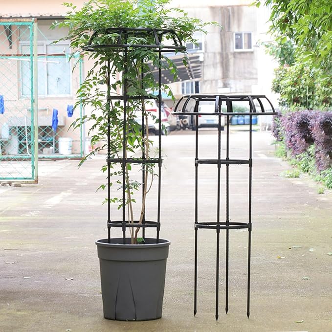 Garden Trellis for Climbing Plants Outdoor Mushroom Top Design Plant Stand Plant Trellis Support Cage for Climbing Vine Rose Clematis Indoor Potted Plants Black Black M