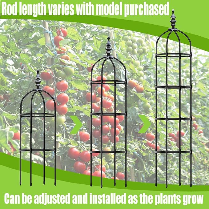 2 Pack Garden Trellis For Climbing Plants Trellis For Potted Plants Tomato Cage Pots Rustproof Metal Plant Flower Trellises Clematis Vine Jasmine Support Outdoor Indoor(Black32*120cm/11.8*47.3)