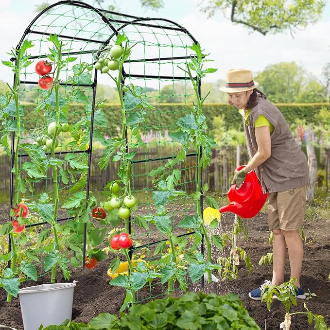 Garden Arch Cucumber Trellis for Climbing Plants Outdoor 6.7ft Tall Archway Arbor Plant Support Grape Vine Tomato Pea Bean Trellis for Raised Bed Backyard Black