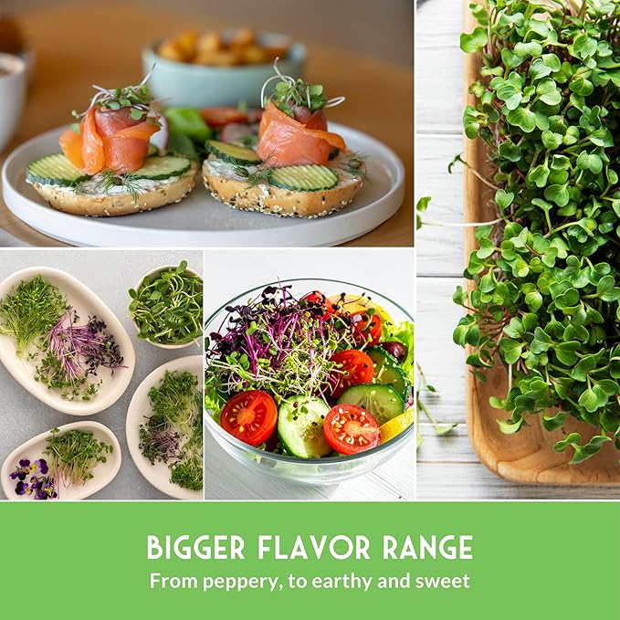 Microgreens Seeds Variety Pack – 15 Heirloom Varieties for Indoor Sprouting &amp Countertop Growing – Broccoli Radish Kale Arugula &amp More – High Germination Non-GMO – Survival Garden Seeds