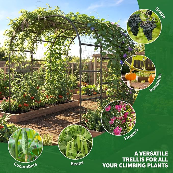 Tall Garden Arch Trellis for Climbing Plants 88in Tall Metal Plant Support Trellis Archway for Climbing Plant Vegetables Cucumber Outdoor Yard Lawn Garden Arch Tunnel Trellis