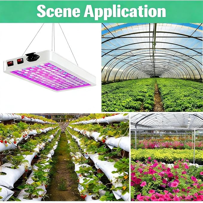 Full Spectrum LED Grow Light for Indoor PlantsPlant Lamp with Hanging Kit Suitable for Seedlings Succulents Flowers &amp Vegetables (B2-2000W)
