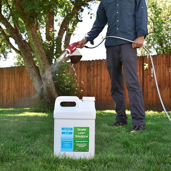Advanced 16-4-8 Lawn Fertilizer - Liquid Lawn Food Spring &amp Summer Concentrated Spray - Any Grass Type- Fish and Seaweed Kelp- Balanced NPK - Simple Lawn Solutions (2.5 Gallons)