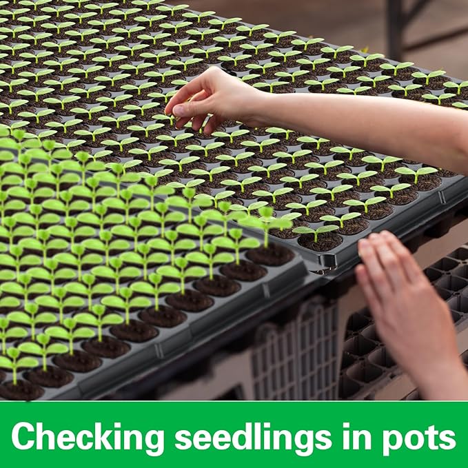 Dandat 100 Pack 200 Cells Reusable Seed Starting Trays Seedling Trays Plant Germination Trays Propagation Tray Plastic Seed Starter Trays with Drain Holes for Growing Seedlings Planting Indoor Garden