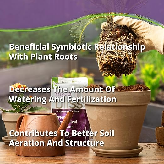 Myco Bliss Powder (20lbs) - Mycorrhizal Fungi for Soil - 5 Strain Mycorrhizal Inoculant with 1000 Propagules Per Gram - Highly Concentrated Mycorrhizae for Plants Potting Soil &amp Garden Soil