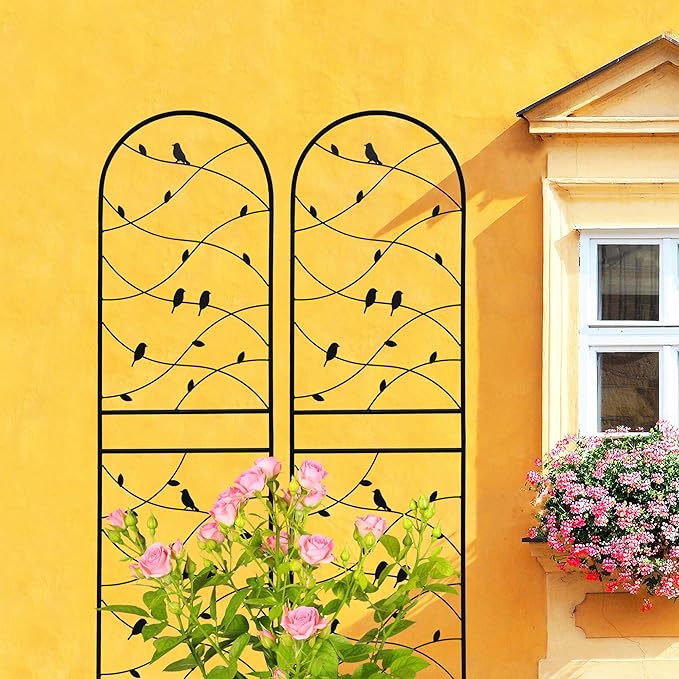 4 Pack Large Garden Trellis Heavy Duty Rustproof Iron Plant Trellis for Potted Plant Support Metal Climbing Rose Trellis Vine Vegetable Cucumber Black -71 H x 19.7 W