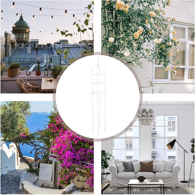 BESPORTBLE Metal Plant Climbing Trellis 31cm Diameter Ring 1.6m Height Outdoor Garden Plant Support Stake for Roses and Climbing Vines for Balcony Use