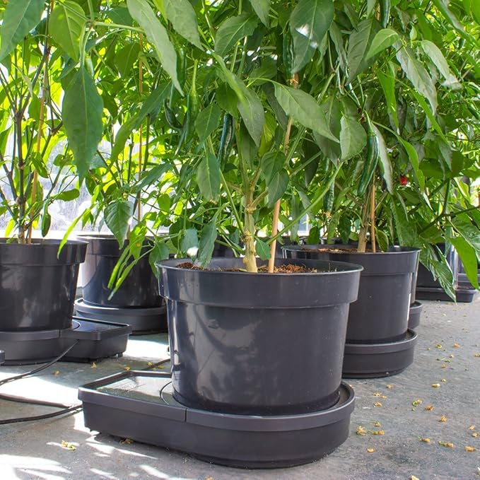 PLANT IT 01-075-080 Kit-15L Plantit Gogro Automatic Watering System 2 Expansion Kit 15L Pots Black