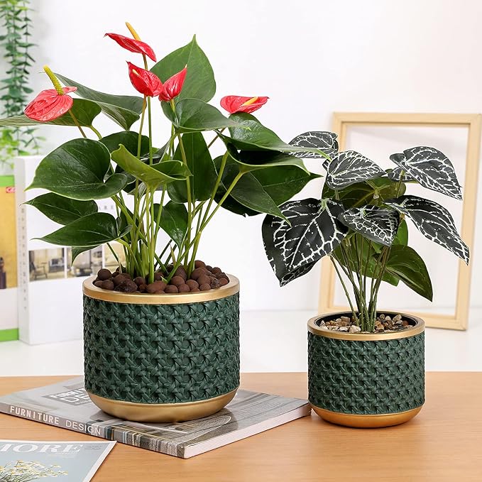 6&amp4.4 Inch Cement Planter Decorative Pots with Drainage Hole for All House Plants Succulents Flowers and Cactus (Gold Green)