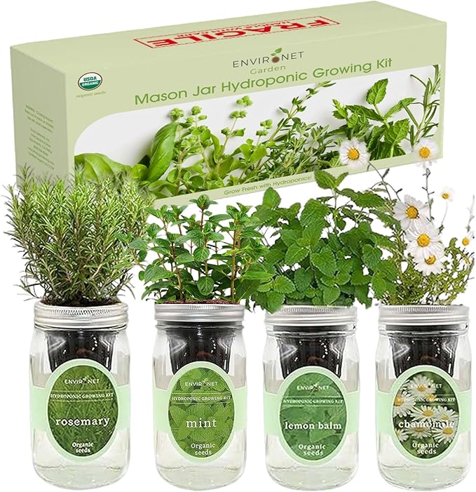 Hydroponic Mason Jar Organic Herbal Tea Seed Starter Kits - Herbal Tea Garden Growing Kits Gardening Gift Grow Your Own Herbal Teas Indoor (Chamomile Mint Lemon Balm Rosemary)