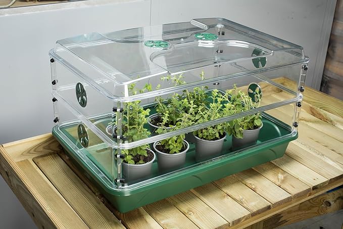 EarlyGrow Large Domed Propagator with 2 Height Extenders Seedling Trays and Locking Clip Set Green (97019)