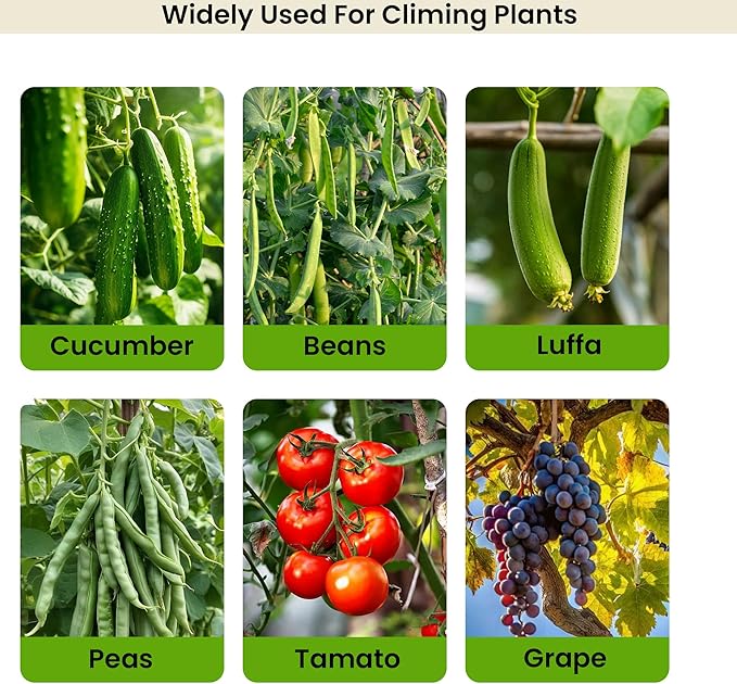 7Ft Adjustable Garden Arch Trellis for Climbing Plants Outdoor Heavy Duty Rustproof Stainless Steel Cucumber Trellis for Raised Beds Tall Metal Plant Support for Tomato Squash Beans Flowers