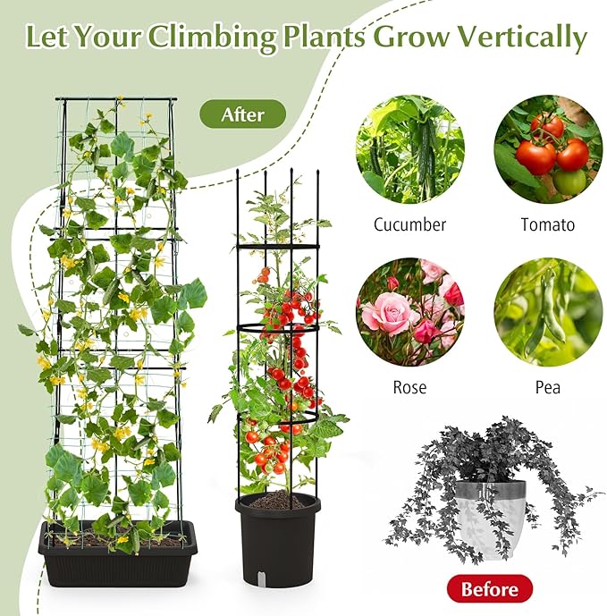 Happygrill 2 Pack Tomato Cage Metal Garden Trellis w/Adjustable Height &amp Self-Watering System for Vines Potted Plants Vegetables Tall Plant Support Tomato Trellis w/Planter Box