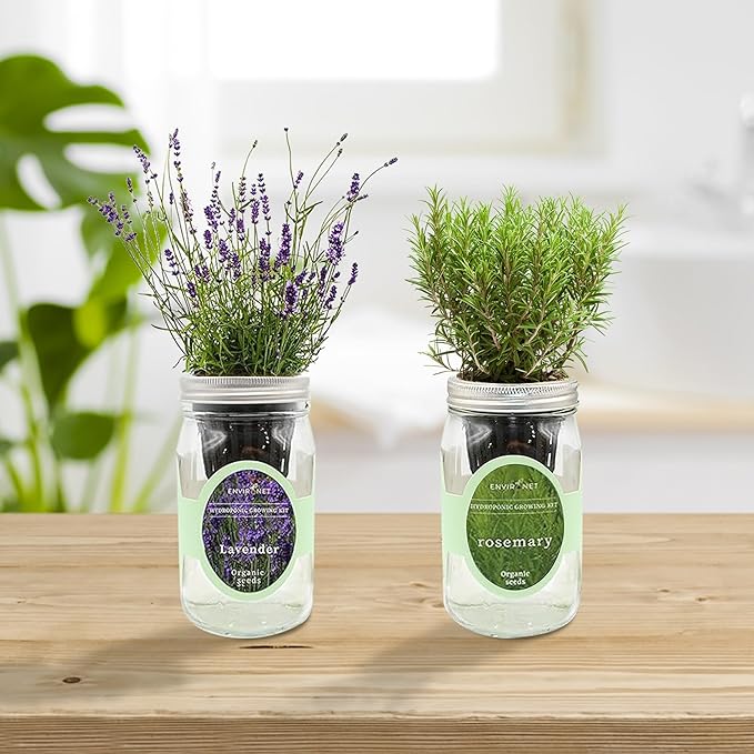 2-Pack Hydroponic Mason Jar Herb Garden Kit Indoor Herb Garden Self-Watering Starter Kit New Christmas Gift for Mom (DillLavender)