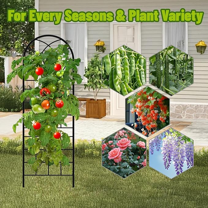 Garden Trellis for Climbing Plants 6 Pack 75.6 Wx 64.6 H Rustproof Flower Trellis with Black Coating Outdoor Climbing Rose Trellis Cucumbers Support for Courtyards Lawns (Square Grid 6 Pieces)