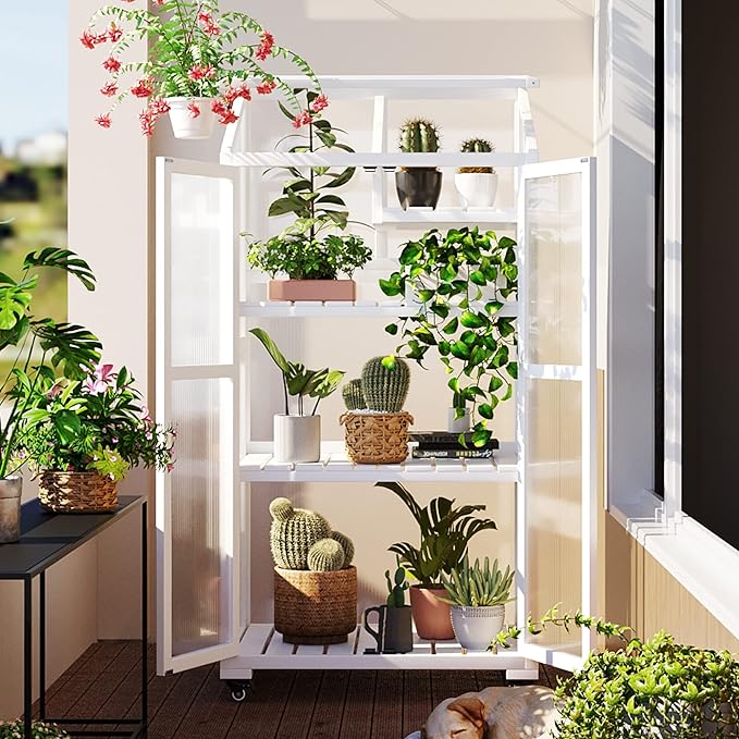 Mini 4-Tier Greenhouse with Locking Wheels 62 Inch Height Portable Wooden Green House Cold Frame with Adjustable Shelves and Vent Small Garden House for Outdoor Indoor White