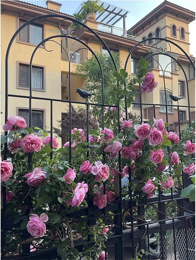 Garden Iron Rose Fence Gardening Post Rose Vine Ivy Clematis Gardening Post Easy to Assemble Height Adjustable Climbing Plant Garden Trellis 120cm*50cm Black