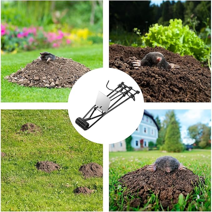 6 Pack Mole Gopher Trap Outdoor Metal Tactical Rat Vole Traps Outdoor Reusable Gopher Killer Keep Moles Out of Yard Lawn Garden Black