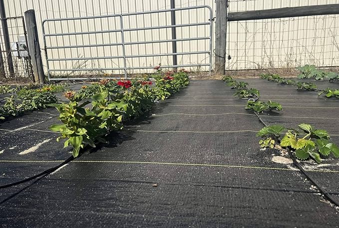Hoss Lazy Garden Ground Cover 15' X 20'