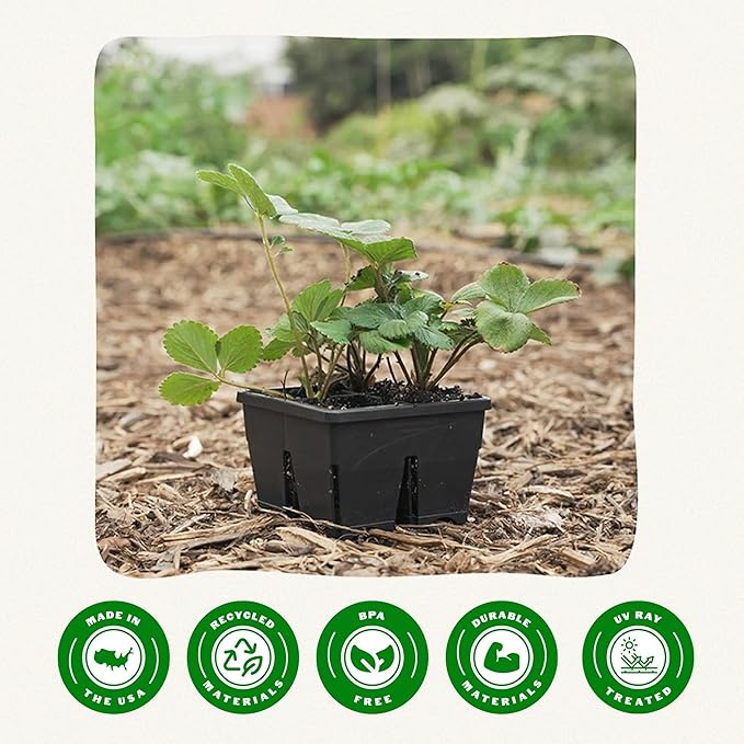 Epic Gardening Reusable Seed Starter Tray - 4 Cell 4/16 Seedling Starter Trays - Easy Watering Indoor Greenhouse Plant Starter Gardener-Friendly for Seedlings | UV-Treated &amp BPA-Free - Black