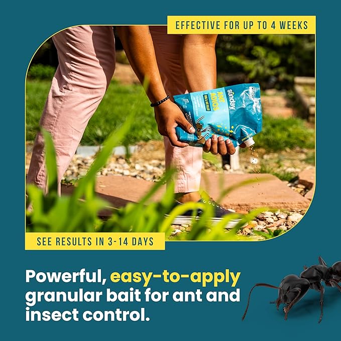 Sunday Ant Adios - Bug &amp Ant Killer - Outdoor Insect Control Uses Spinosad to Eliminate Ants Earwigs Cutworms &amp More - Treats 4000 sq ft - Results in 3-14 Days - 2 Pack 2lbs