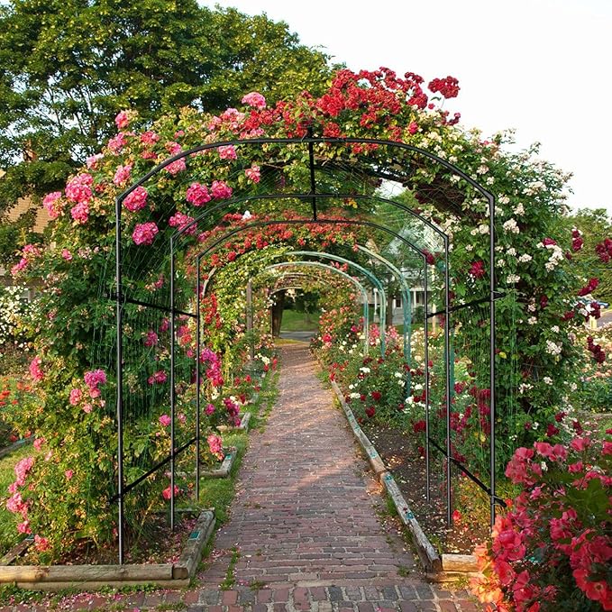 SUNYRISY Garden Arch Trellis Metal Core Trellis for Climbing Plants Outdoor 87 x 71 x 75 Tall Archway Tunnel Plant Support for Vine Cucumber Tomato Grape Vegetables Climbing Plants