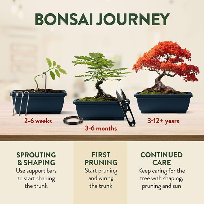 HOME GROWN Bonsai Tree Starter Kit – Unique Christmas Gift for Adults Men Women - Grow 4 Bonsais – DIY Crafts Hobby Gardening Kit for Plant Lovers Mom Dad - White Elephant Gifts for Adults