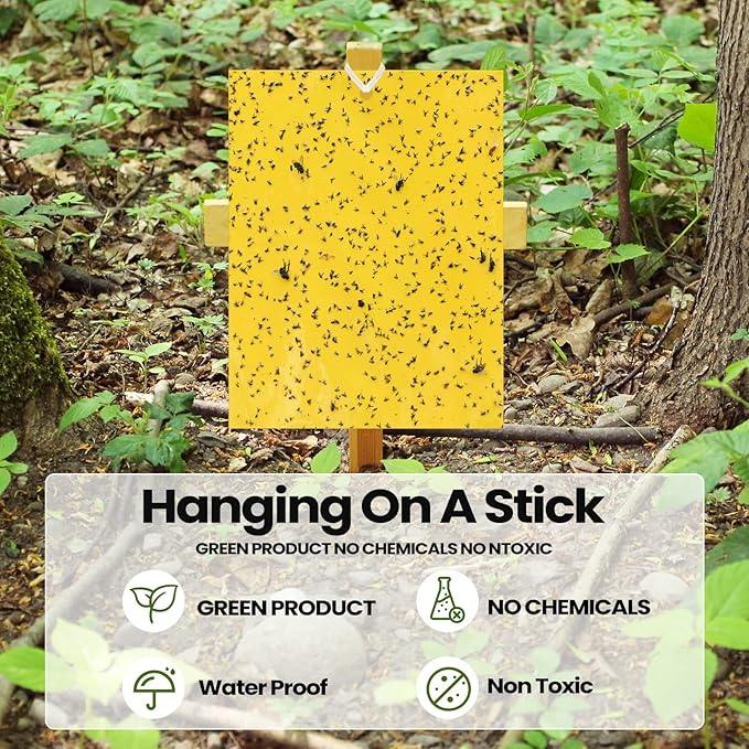 Qualirey 150 Pcs 6 x 8 Inch Sticky Traps for Gnats Dual Sided Fruit Fly Sticky Traps for Indoor and Outdoor Plant with Twist Ties and Plastic Holders for Flying Plant Insect Fungus Gnats (Yellow)