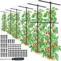 6 Pack Metal Detachable Raspberry &amp Grape Vine Trellis for Climbing Plants Heavy-Duty 7 Ft Tall Large Vineyard Trellis Support Sturdy Garden Stakes for Outdoor Raised Beds Vegetables Fruits Flow