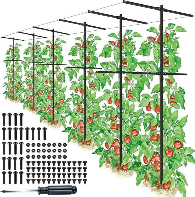 6 Pack Metal Detachable Raspberry &amp Grape Vine Trellis for Climbing Plants Heavy-Duty 7 Ft Tall Large Vineyard Trellis Support Sturdy Garden Stakes for Outdoor Raised Beds Vegetables Fruits Flow