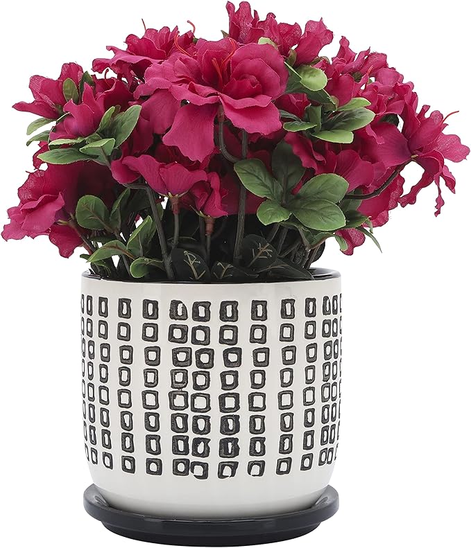 Generic  6 Planter W Saucer Black