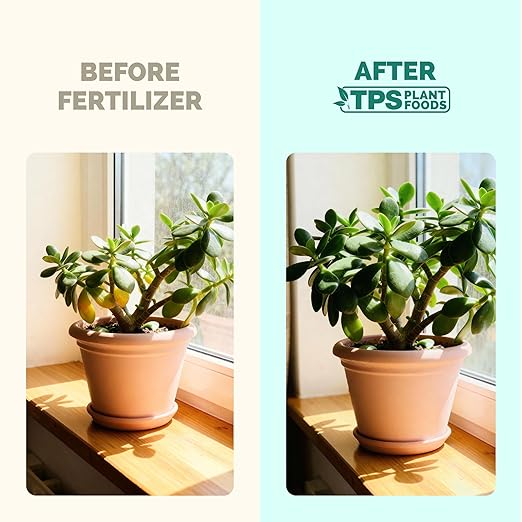 Jade Fertilizer – Gentle Liquid Plant Food for Thick Leaves Healthy Growth &amp Vibrant Color 32 oz