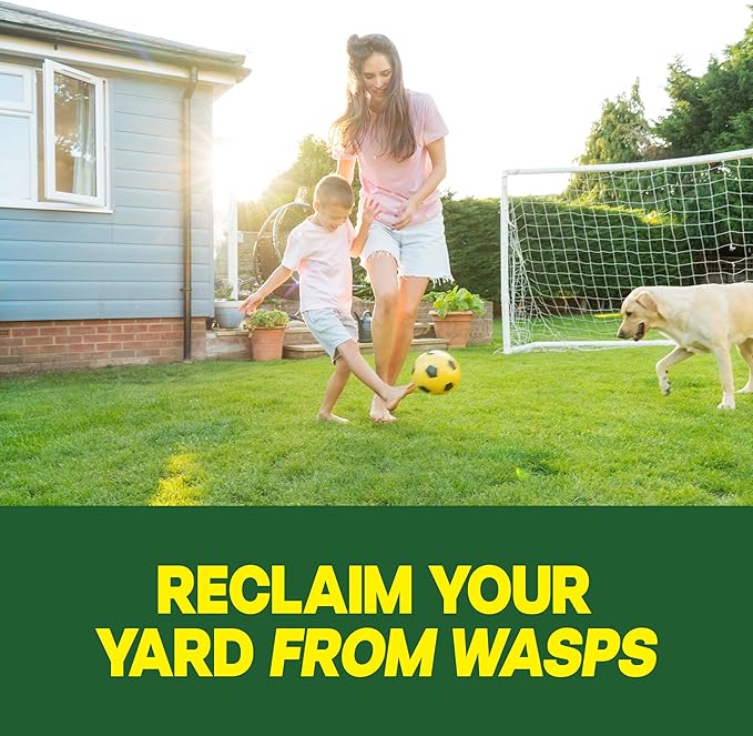 Raid Outdoor Wasp Ground Nest Killer Dust Insecticide for Outside Household Use on Wasps Fast-Working Easy-to-Use and Odorless 24 oz
