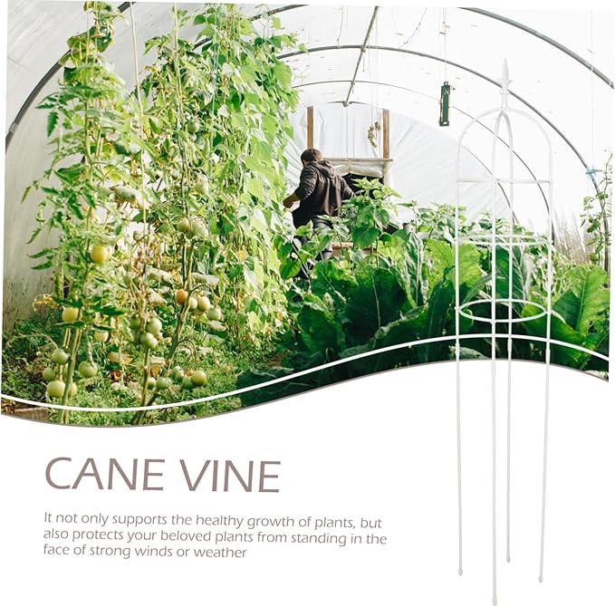 BESPORTBLE Plant Scaffolds Metal Garden Arbor Trellis Outdoor Plant Support for Climbing Vines Roses Peas