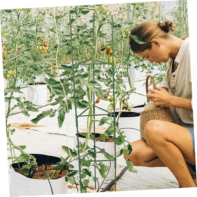 BESPORTBLE 3Sets Plant Trellis for Climbing Plants Durable Support Rack for Tomatoes Flowers and Vegetables for Patio Lawn and Garden Use Includes Connectors and Clips