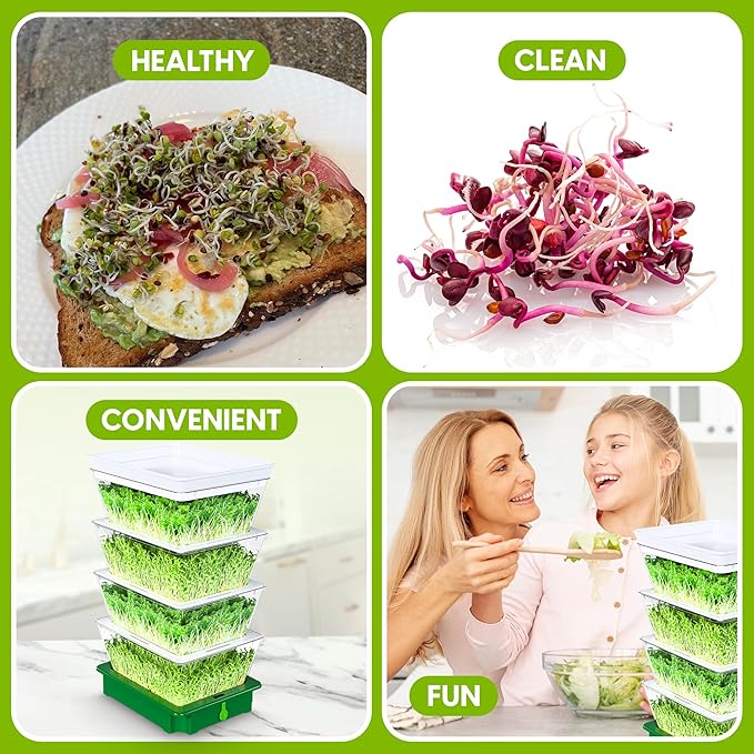 2026 Upgraded 4-Tier Stackable Seed Sprouter with Air Holes &amp Easy Sink-Draining Spout Tray – Soil-Free Sprouting System for Broccoli Alfalfa &amp Bean Sprouts.