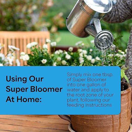 Grow More Super Bloomer 15-30-15 Fertilizer - 3lbs of Flower Fertilizer Bloom Booster for More Colorful Blooms &amp Blossoms - Flower Food for Flowers of All Types with Chelated Iron &amp Manganese