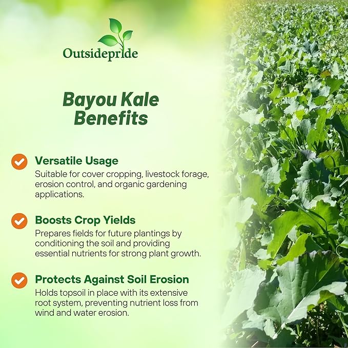 Outsidepride Bayou Kale Seeds - 5 lb. Annual Versatile &amp Cold-Tolerant Cover Crop Seeds for Planting Large Resilient Foliage for Livestock Grazing Erosion Control &amp Easy Growth