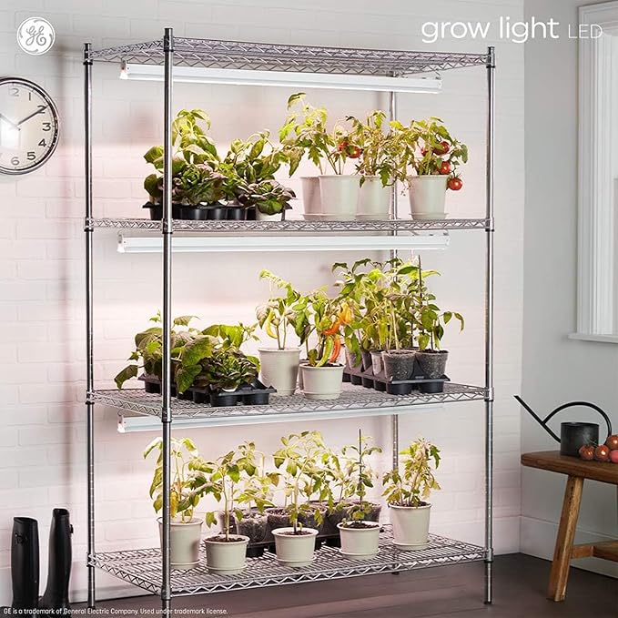 GE Grow Lights for Indoor Plants BR30 Indoor Floodlight LED Light Bulbs for Flowers and Fruit Advanced Red Light Spectrum 25000 Hours Lifespan 15 PPF 2 Pack (Packaging May Vary)