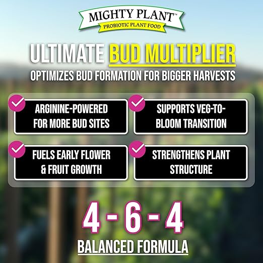 Flowering Bloom Booster Plant Enhancer – Arginine-Powered Growth Formula for Explosive Bloom &amp Fruit Set | Prime2Bud Ideal for Garden Flowers &amp Fruit-Bearing Vegetables (1 Pounds)