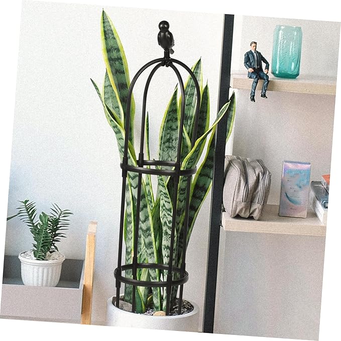 Sturdy Garden Trellis for Climbing Plants Outdoor Indoor Smooth Polished Plant Support Rack for Potted Vines Weather-Resistant Climbing Vine Frame Height
