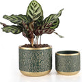 6 +4.4 Inch Cement Planter Decorative Pots with Drainage Hole for All House Plants Succulents Flowers and Cactus (Green)