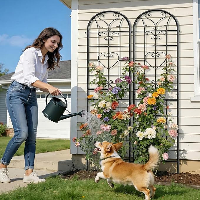 87x20 Inch Black Metal Garden Trellis Heavy Duty Outdoor Tall Plant Trellis for Climbing Rose Bush Clematis Jasmine Morning Glory Flowers &amp Vines 4 Pack