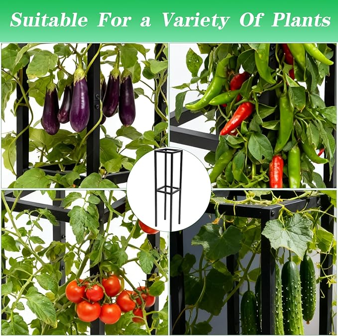 48x12 Inches Dragon Fruit Trellis for Climbing Plants - Premium Quality Metal Support Stand Weather-Resistant &amp Durable for Gardeners and Plant Enthusiasts