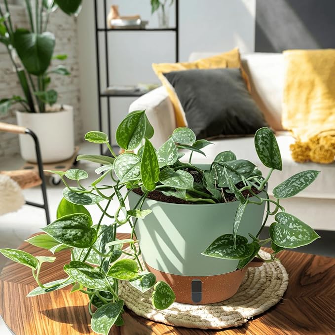 montresor 12/10/8 Inch Self Watering Pots for Indoor Plants Plastic Large Pot for Outdoor Plants Water Level Window &amp Spacious Reservoir Flower Pots Decorative Planter with Drainage and Tray