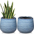 Ceramic Plant Pots 6 Inch Set of 2 Flower Plants Pot with Drainage Holes Blue Planter Garden Pot for Succulent Cactus Home Decoration Gift Indoor Outdoor