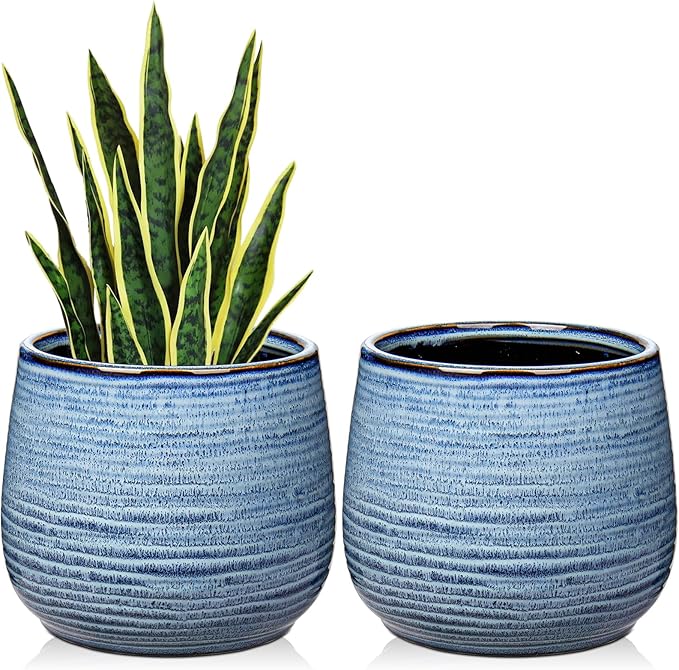 Ceramic Plant Pots 6 Inch Set of 2 Flower Plants Pot with Drainage Holes Blue Planter Garden Pot for Succulent Cactus Home Decoration Gift Indoor Outdoor