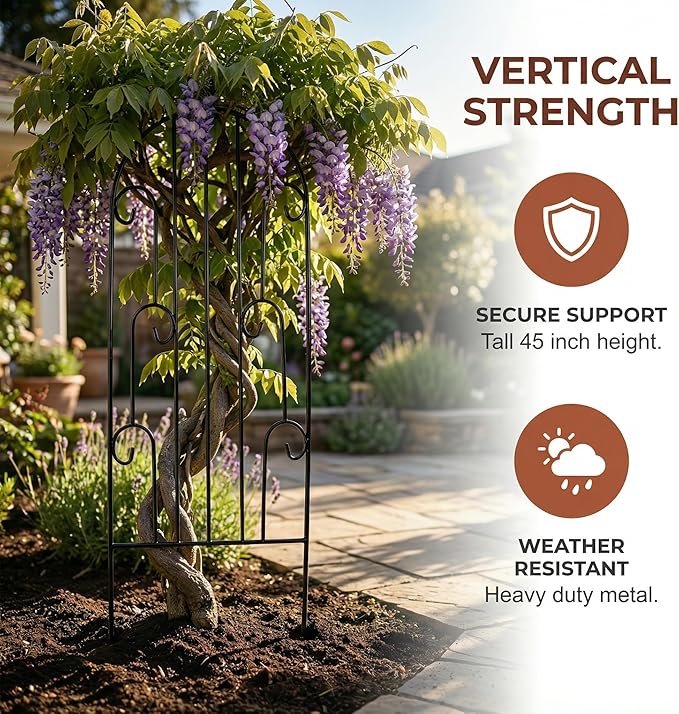SCENDOR 2 Pack Arched Metal Garden Trellis for Climbing Plants 45 H x 15.9 W – Rustproof Iron Trellis with Decorative Scrollwork Perfect for Roses Clematis Vines and Patio Decor