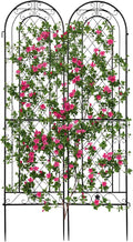 EEBABUO 2-Pack Rustproof Iron Garden Trellis for Climbing Plants - 16x61 Inch Sturdy Metal Plant Support with Arched Design &amp Easy Installation (Black)